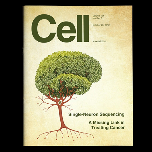 Cell Cover 26 Oct 2012